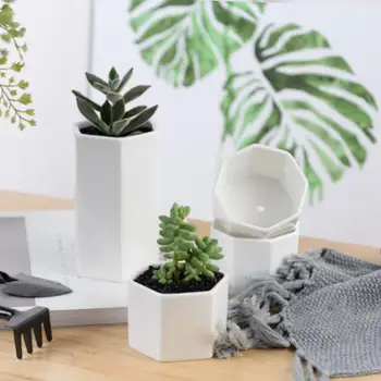 

Modern Style Succulent Ceramic Flower Pot Nordic Planter Simple Straight Black And White Geometric Figure Flower Pots