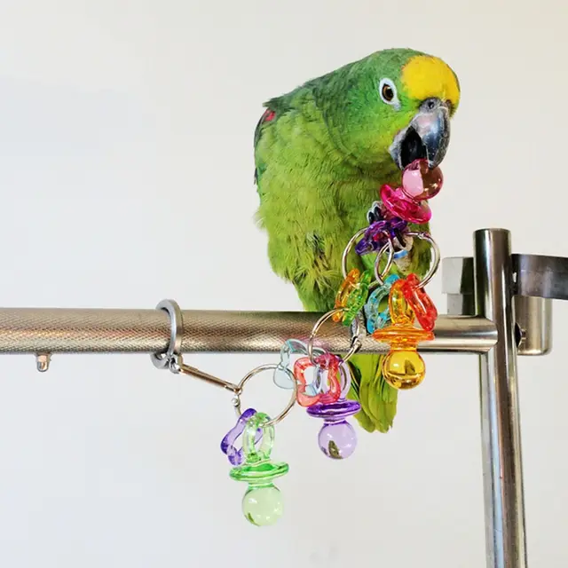 VOGEL SPEELGOED papegaai speelgoed valkparkiet budgie dwergpapegaai huisdier vogels speelgoed activiteiten acryl beetje speelgoed|Vogelspeelgoed| - AliExpress