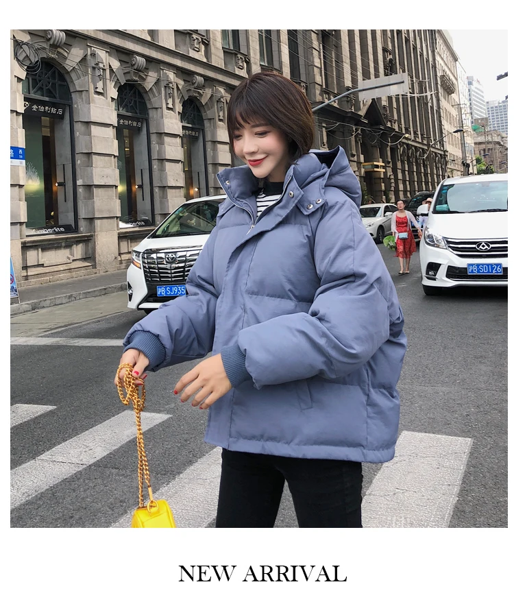 Korean-style CHIC Hooded down Coat Women's Winter New Style Fashion Loose Slimming Slim Fit Versatile Short Cotton-padded C