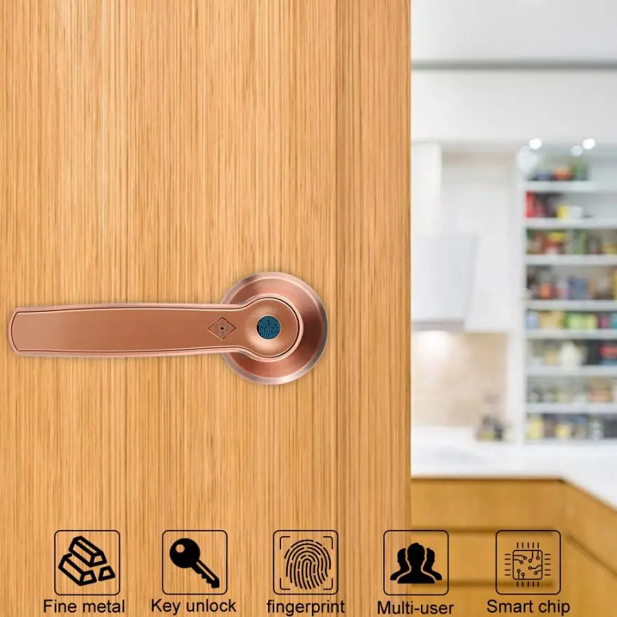 

Dome Biometric Fingerprint Door Lock Zinc Alloy Smart Knob Deadbolt Electronic Door Lock