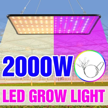 LED 전체 스펙트럼 식물 전구 온실 실내 식물 램프, 성장 텐트, 미국 EU 영국 플러그, 1000W, 1500W, 2000W