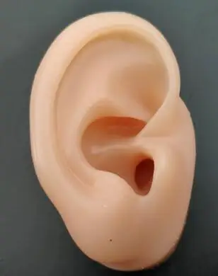 right ear Силиконовые имитации уха Модель слухового аппарата дисплей уха Акупунктура Маскарад Силиконовые уши - Цвет: right ear