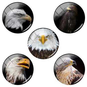 

TAFREE Hawk Black-eared Kite Art Patterns Print On Glass Bead Birds Jewelry Findings 12/15/16/18/20/25 mm Flat Back HL63