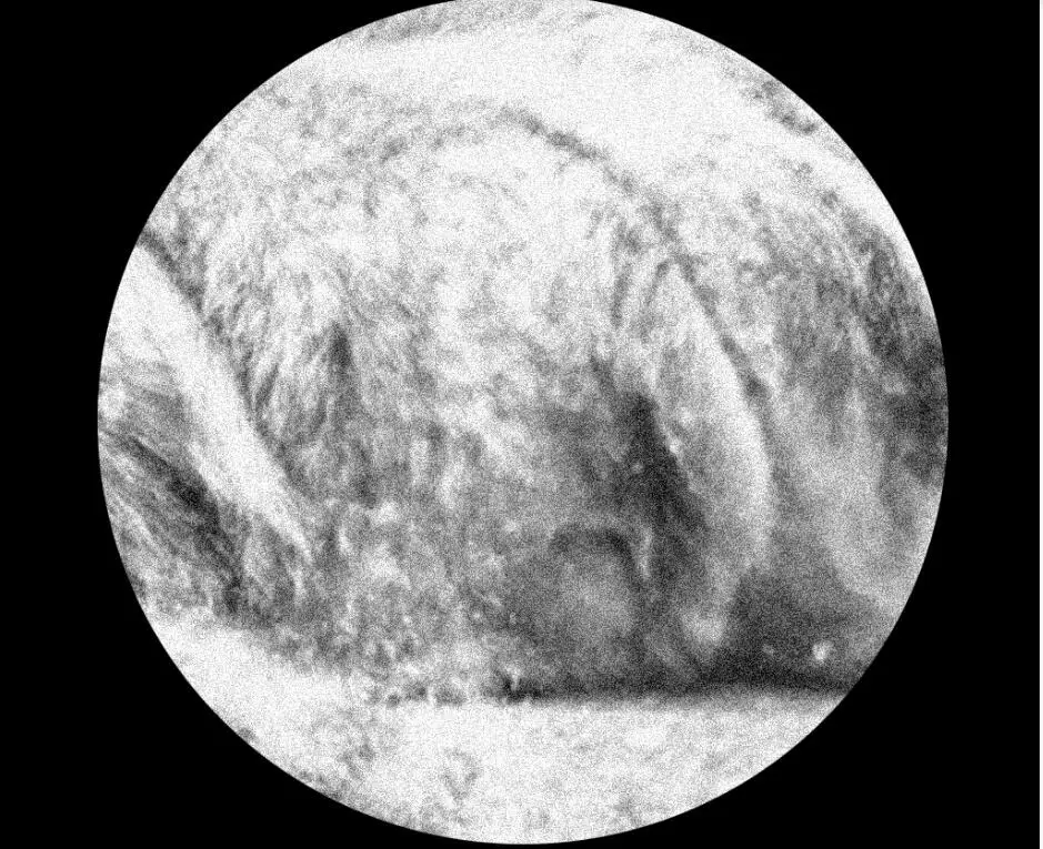 QQ截图20201010181543