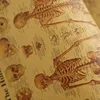 The Body Structure Skeleton Nervous System Vintage Poster Medical Decoracion Painting Wall Art Kraft Paper Posters Wall Stickers 4
