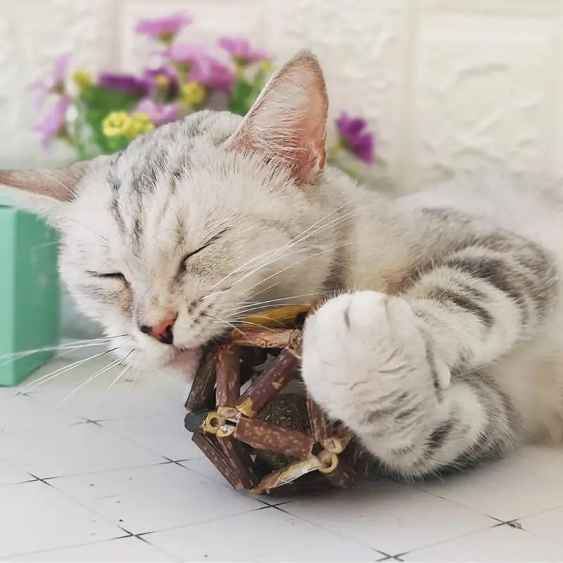 Pet кошачья мята подставка для игрушек мяч Дразнилка для кошки закуски игрушка натурального Silvervine мяч молярная филиал очистки зубочистки для игрушки для котят