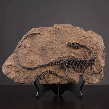 

Vintage Creative Dinosaur Fossils Statue Resin Sculpture Antique Home Decor Home Decoration Accessories Modern Art Ornament