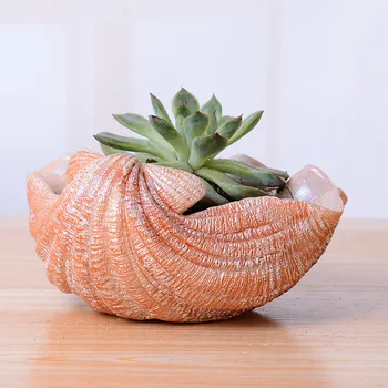 

Creative New Mini Conch Shape Succulent Office Desk Home Tabletop Garden Decorations Resin Cactus Flowerpot Planter Flower Pots