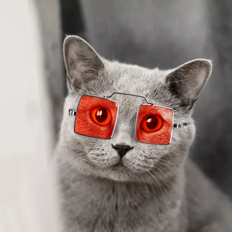 

2022 New Fashion Lovely Pet Glasses Dog Glasses Pet Products Cat Sunglasses Eye-wear Protection Photos Props Pet Accessories