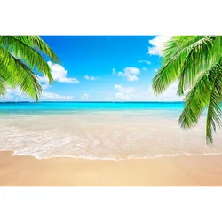 Tropical Beach and Sky Photography Backdrop - Thin Vinyl 250x180cm (23)