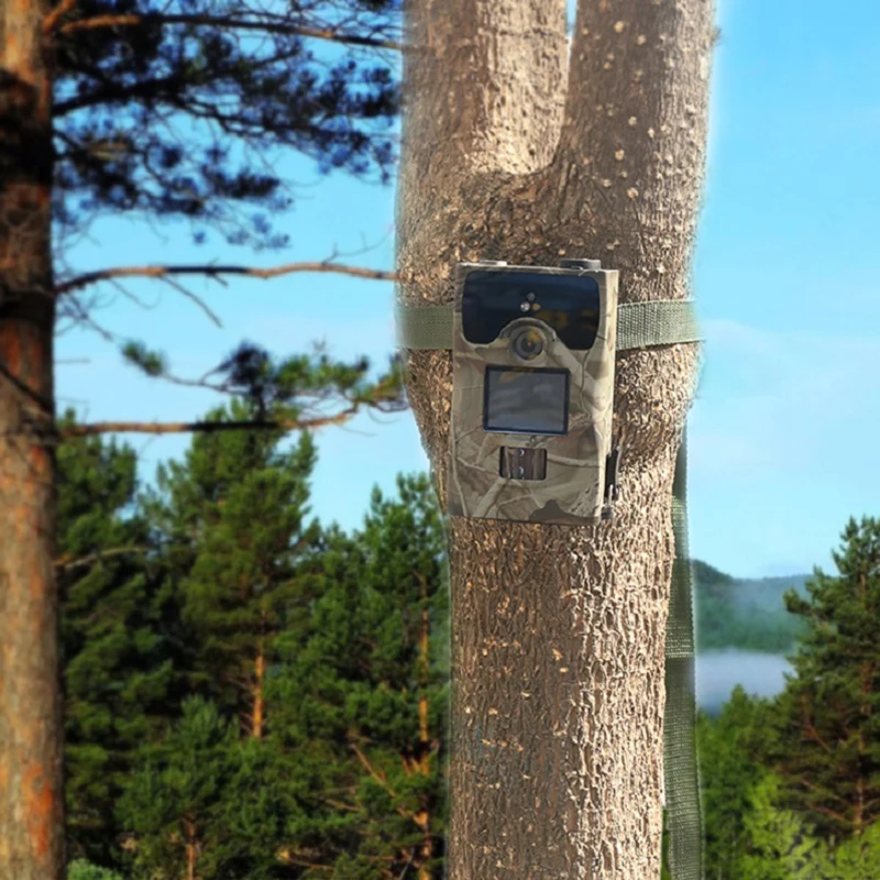 TCM 16C охотничья камера Trail камера s PIR сенсор 1080P инфракрасное ночное видение Скаутинг Стелс камера s дикая природа фото ловушки