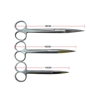 

Pet Cattle Sheep Pig Stainless Steel Surgical scissors Surgery Anatomy Surgical Scissors Surgical Tool Kit