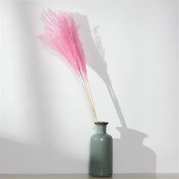 

10pcs dried pure natural small pampas grass bouquets natural dried reed flowers bouquets Pink