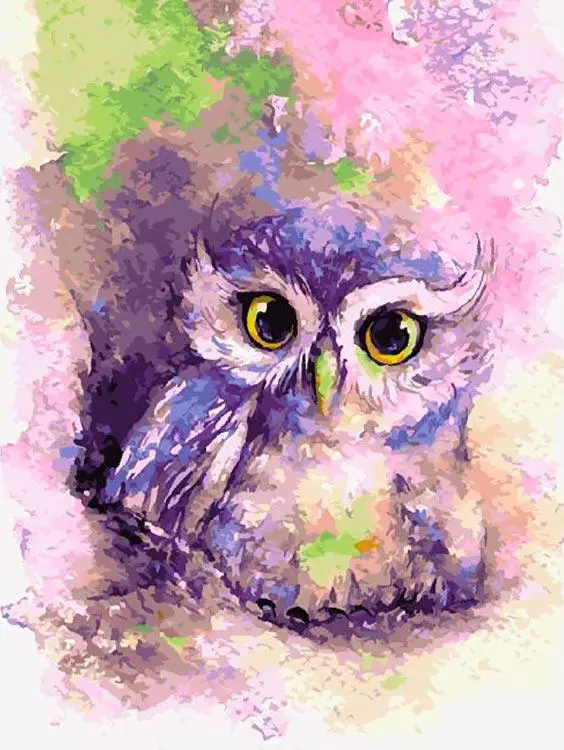 Картина по номерам Paintboy (Premium) Мудрая совушка 40x50 GX28128/PK24043 | Дом и сад