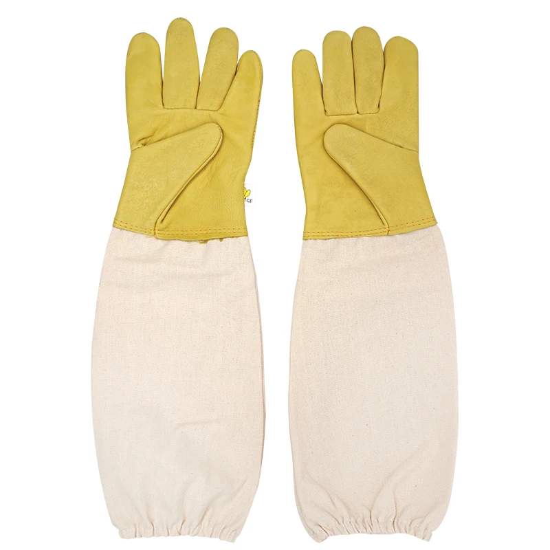 Slide image 56898349af8242f08a2ce86f18f1c810