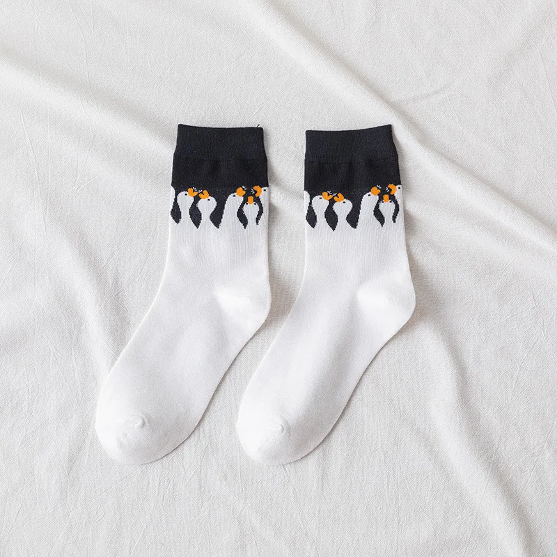 20572026027_2137768352