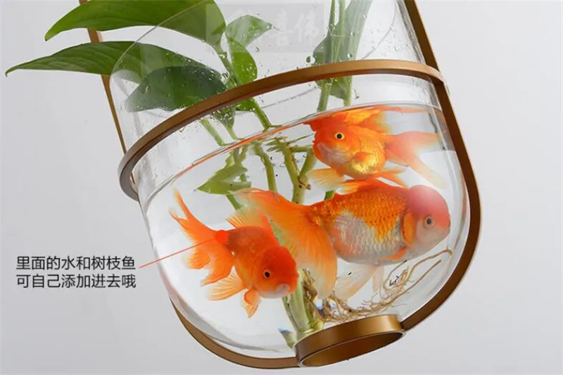QQ截图20200316005617