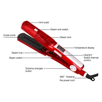 Professional Argan Oil Steam Hair Straightener Flat Iron Injection Painting 450F Straightening Irons Hair Care Styling Tools 4