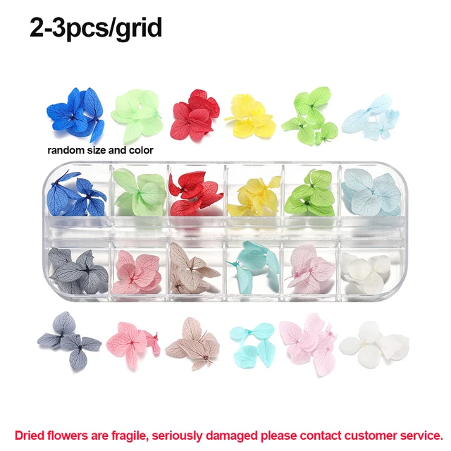 1Box Dried Flowers Dry Plants for Rsein Molds Fillings Epoxy Resin Pendant Tweezers Jewelry Making Craft DIY Nail Art Decoration Style16