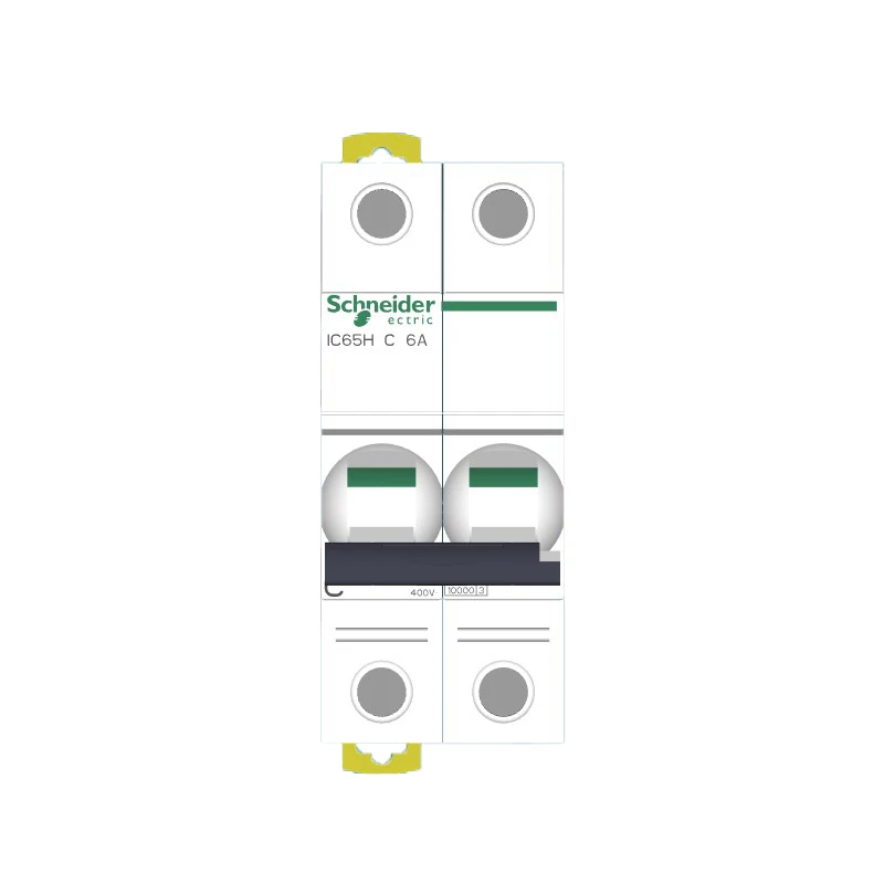 

D Type 2P 6A 10A 16A 20A 25A 32A 40A 50A 63A Miniature Circuit Breaker Leakage Protection Acti 9 Series IC65H Air Switch