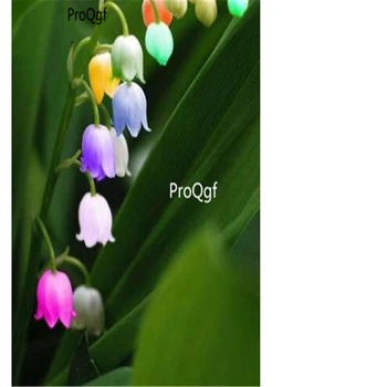 

Ngryise 10pcs a set Convallaria majalis lily of the valley