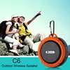 Portable Audio 