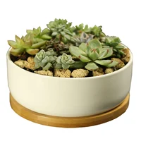 Pot de plante succulente en céramique, pot de fleur arrondi profond en porcelaine blanche avec escalier en bambou, table de bureau, bonsaï Zakka 4