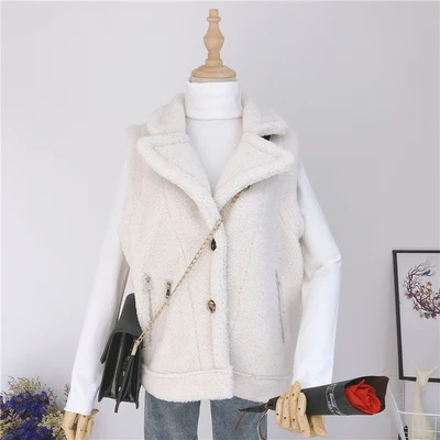 Rice white Autumn Winter Women Vest Coat Faux Lambswool Waistcoat Single Breasted Zipper Sleeveless Jacket Female Thick Warm Vest Jackets - Цвет: Rice white