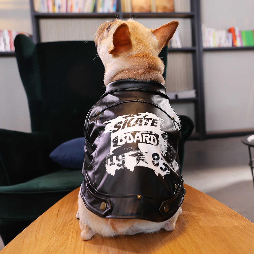 chihuahua leather jacket