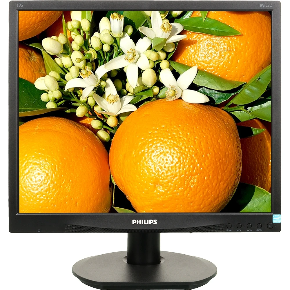 Монитор Philips 19" 19S4QAB(00/01) черный IPS LED 5:4 DVI M/M Mat 250cd