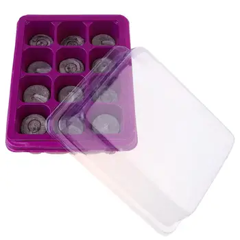 

12-Holes Seedling Tray Set Seed Sprouter Plastic Holder Wheatgrass Grower Vegetable Seedling Container(Purple)