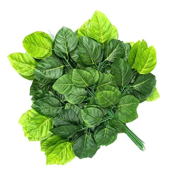 

Reptile Plants Hanging Decorative Landscaping Magnolia Leaves Terrarium Plants