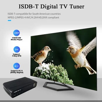 

ISDB-T Digital TV Tuner for Peru Brasil Chile FTA ISDBT TV Receptor Receiver H.264 Set Top Box VHF/UHF Full HD AC3 PVR TV Tuner