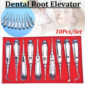 

10Pcs Stainless Steel Dental Orthodontic Root Elevator Head Curved Pen Tool Dentistry Dentist Instrument Teeth Whitening Device