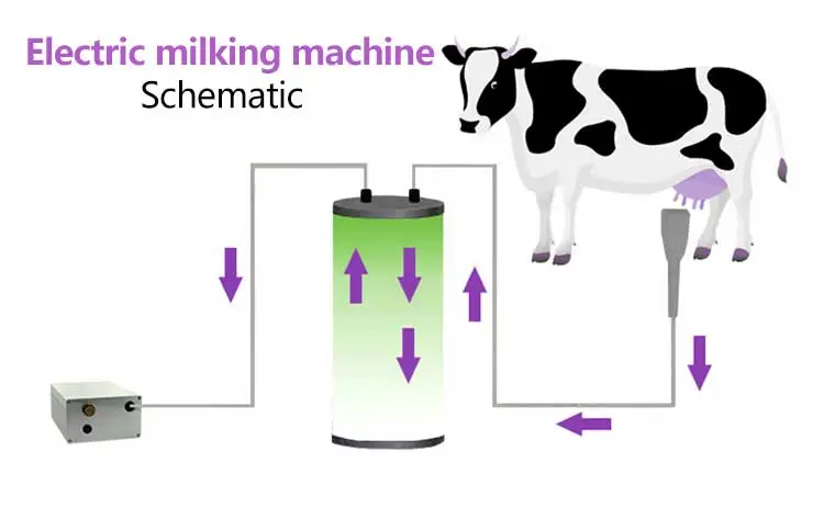 5L электрическая козлиная, Овечья Доильная машина для животноводства козел из нержавеющей стали молочный вакуумный насос ведро 220 В доильные машины