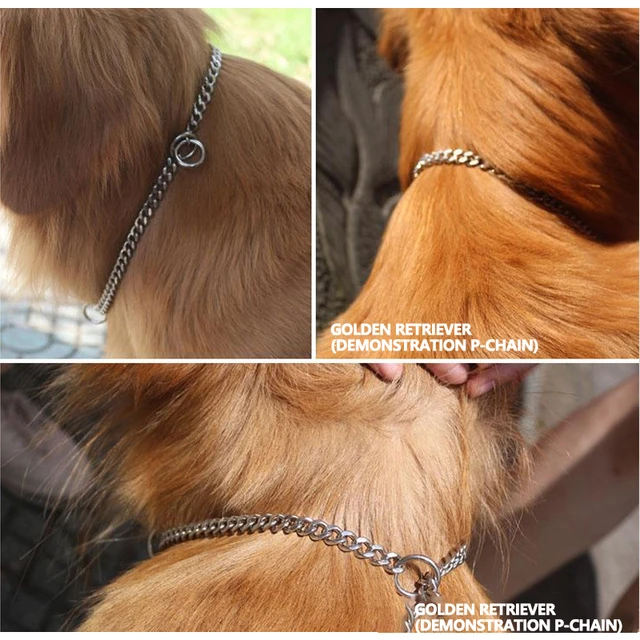 Pet Dog Chain Collar Puppy Necklace For Pitbull Doberman Gold