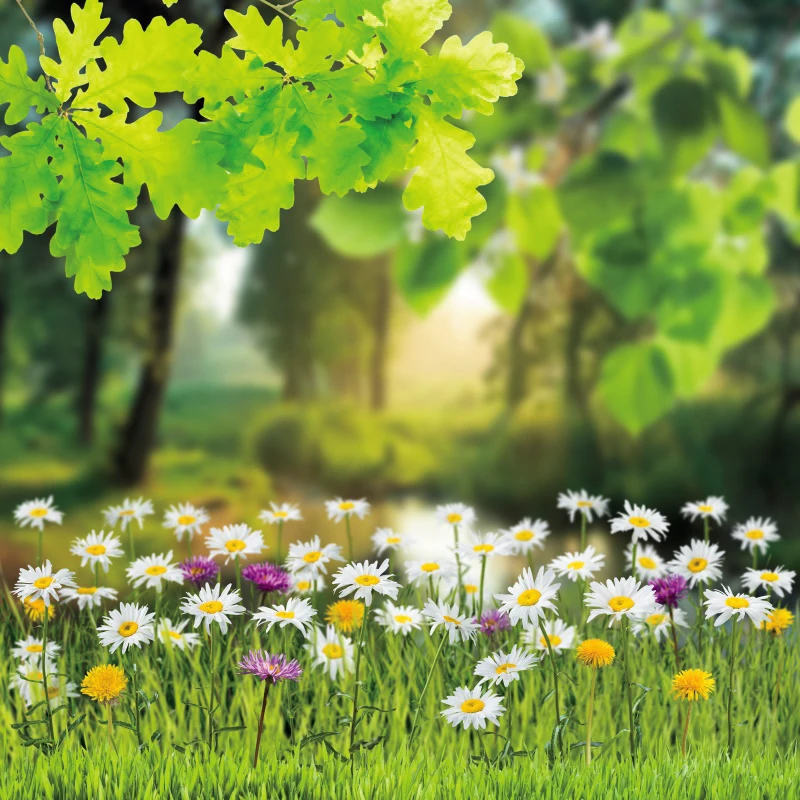 

Laeacco Green Backgrounds For Photography Tree Leaves Flowers Grass Spring Natural Scenic Photography Backdrops Photocall