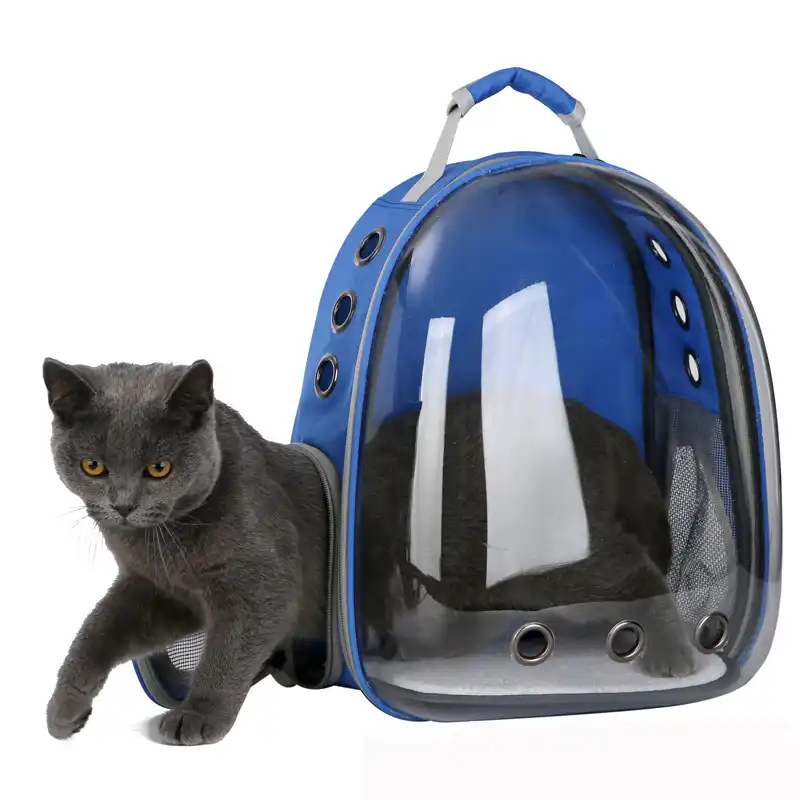cat bag aliexpress