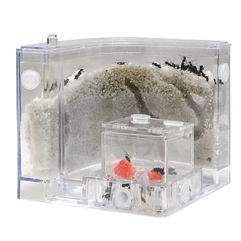 

Free Sand Ant Farm Nest House With feeding area Acryl Castle Funny Pets Educational Science Toys For School Student Kids Boys
