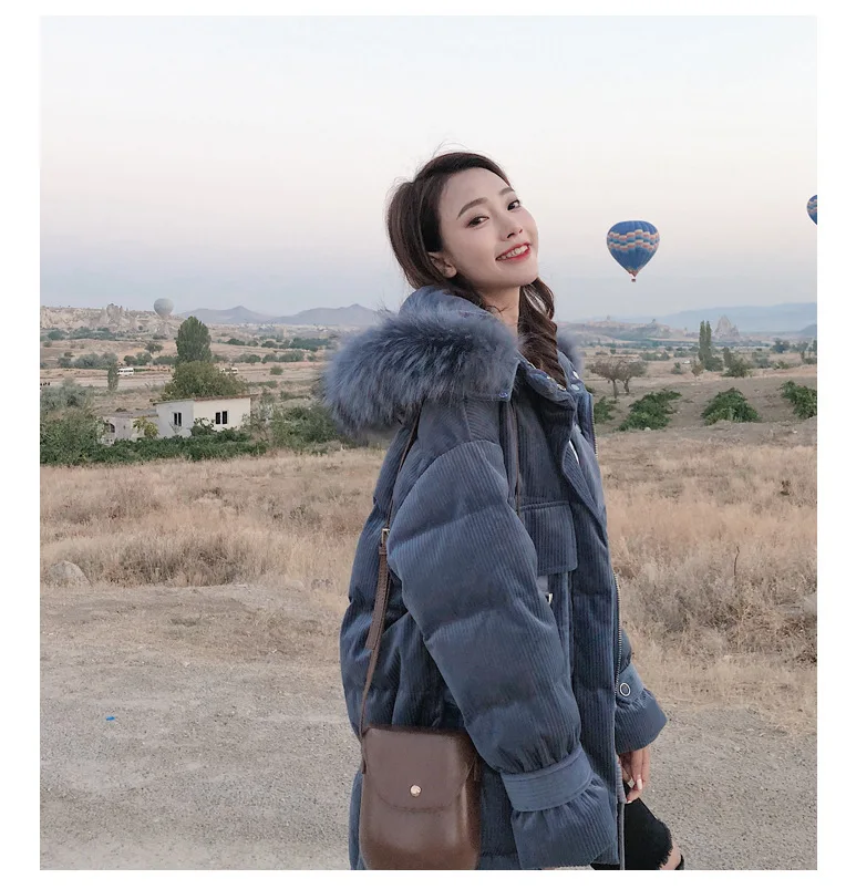 High-Quality-2018-Winter-New-Collection-Women-Hooded-Long-Down-Coat-Female-Winter-Warm-Thick-Down (1)