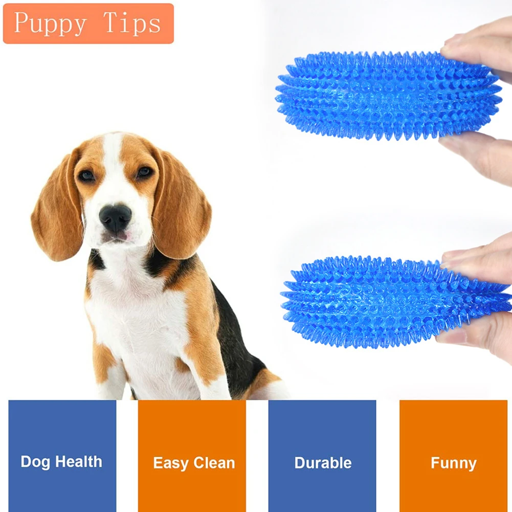 agility toys for dogs