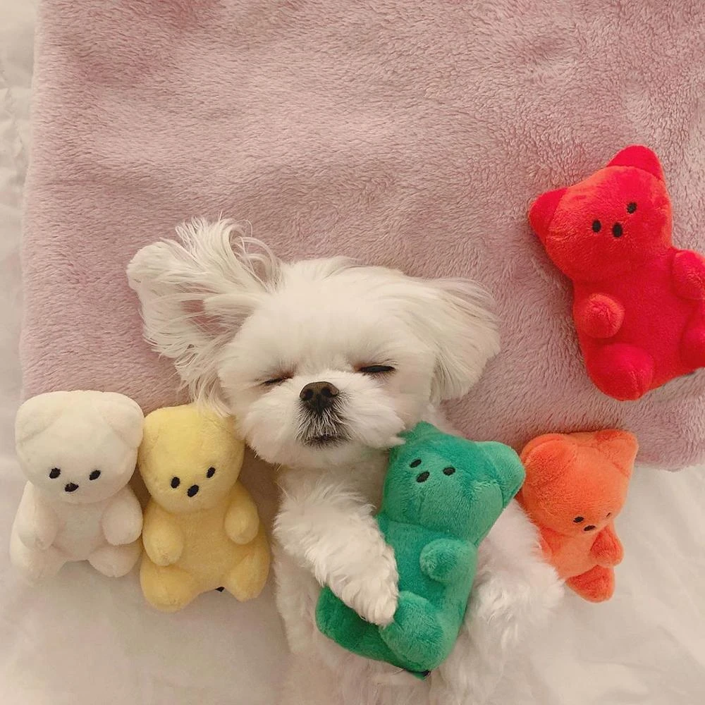 韓国グミクマのおもちゃぬいぐるみ犬猫ペットsqueakサウンドおかしいフリース耐久性かむモルおもちゃのためのフィットすべてのペット Dog Toys Aliexpress