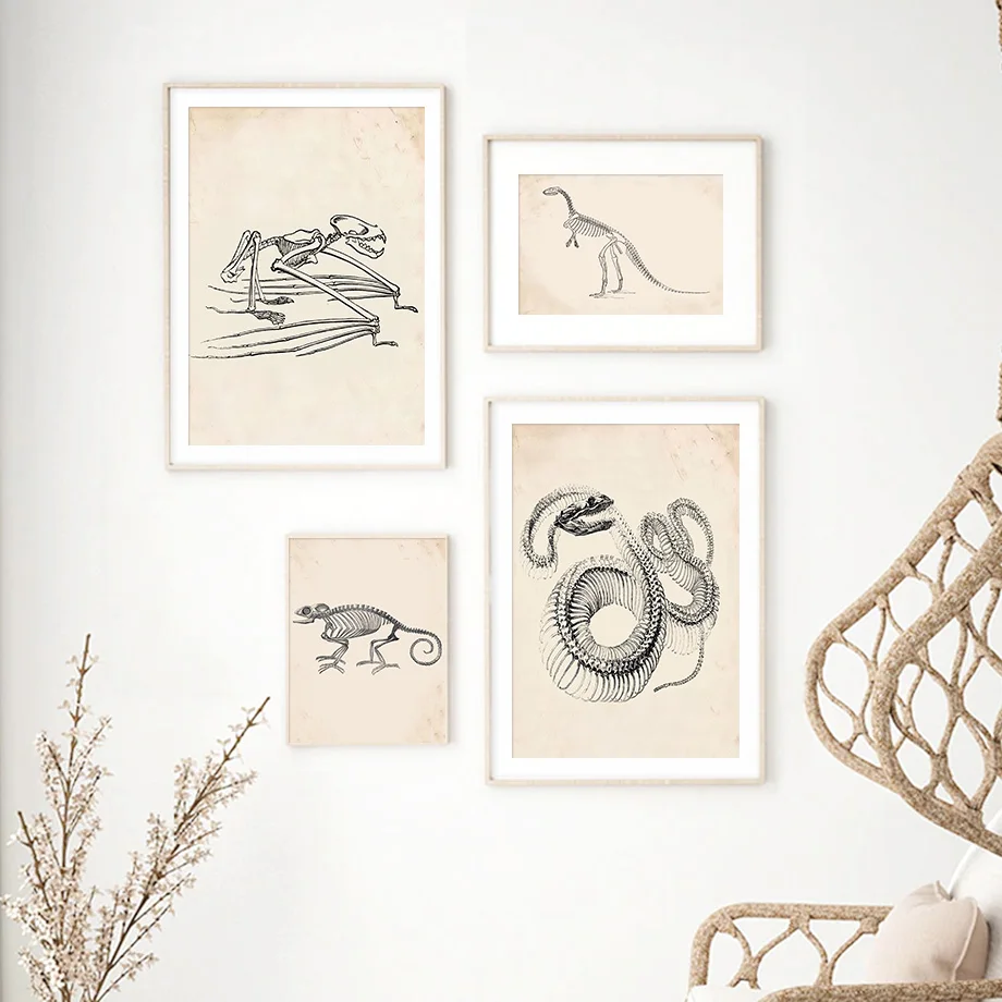 Vintage-Horse-Skeleton-Animal-Anatomy-Wall-Art-Canvas-Painting-Nordic-Posters-And-Prints-Wall-Pictures-For