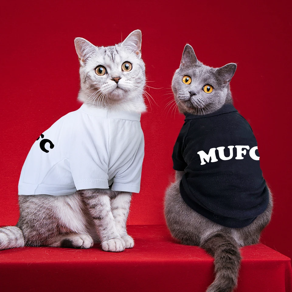 housebreaking puppies for dummies