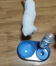 Food-Bowl Raised-Stand Pet-Cat-Bowl Water-Fountain Automatic-Feeder Drinking For Cats