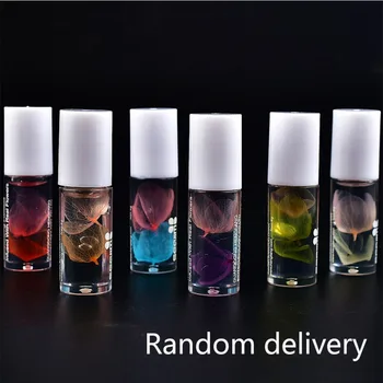 

6Pcs Lip Oil Set Camellia Lip Oil Moisturizing Anti-drying Anti-crack Smooth Fine Lines Lip Care Kit