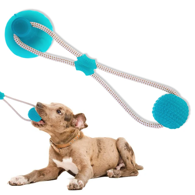 What Rope Is Safe For Dogs