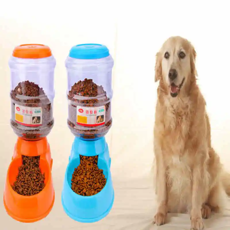 3634528241_1738364132