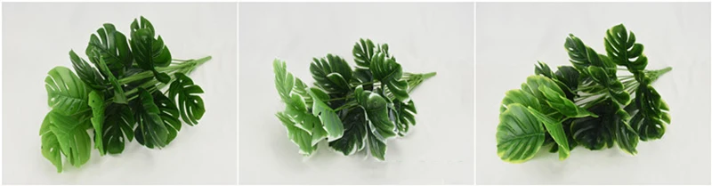 11858132769_1855610624