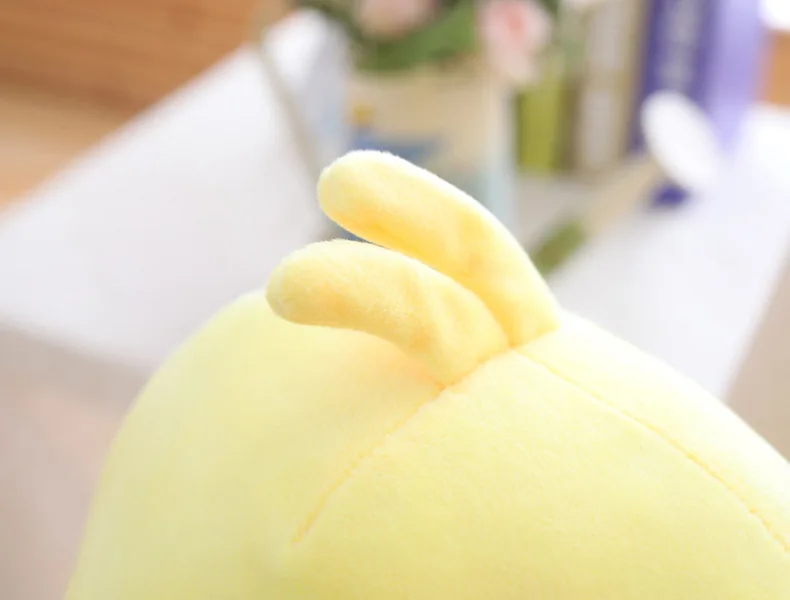 9552830928_617802205